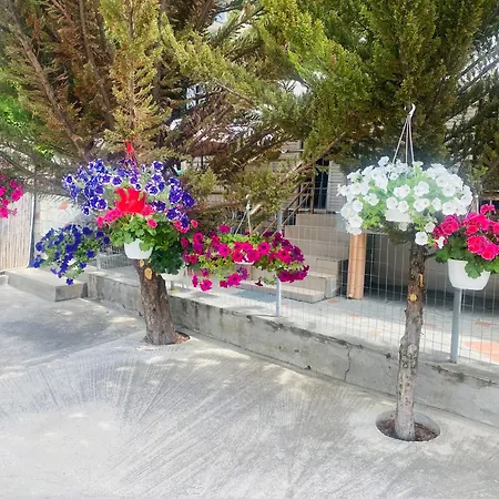 Markos Thassos Потос