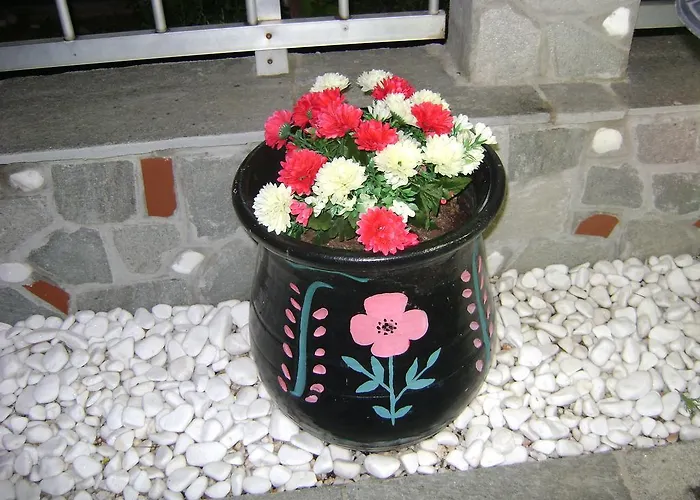 Markos Thassos Apart Otel