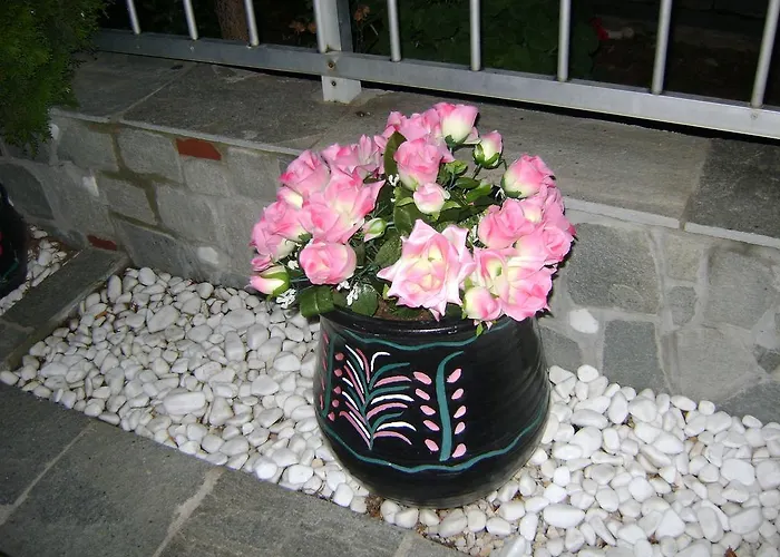 Markos Thassos Apart Otel Potos